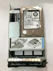 Dell 300GB 15K SAS 12G SFF+LFF Tray R710 R310 T620 R320 R510 R410 R420 T630 R530 - Picture 1 of 1