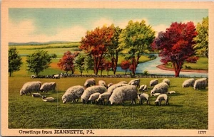 Postal de saludos de Jeanette PA rebaño de ovejas - Imagen 1 de 2