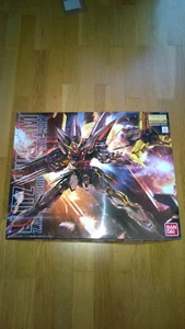 NEU Bandai  0175702  1:100 MG Gundam Seed GAT-X207 Blitz Gundam Z.A.F.T. Mobile - Bild 1 von 2