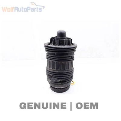 2010-2016 PORSCHE PANAMERA GTS 970 - REAR AIR RIDE / Suspension Spring - Image 1 of 4