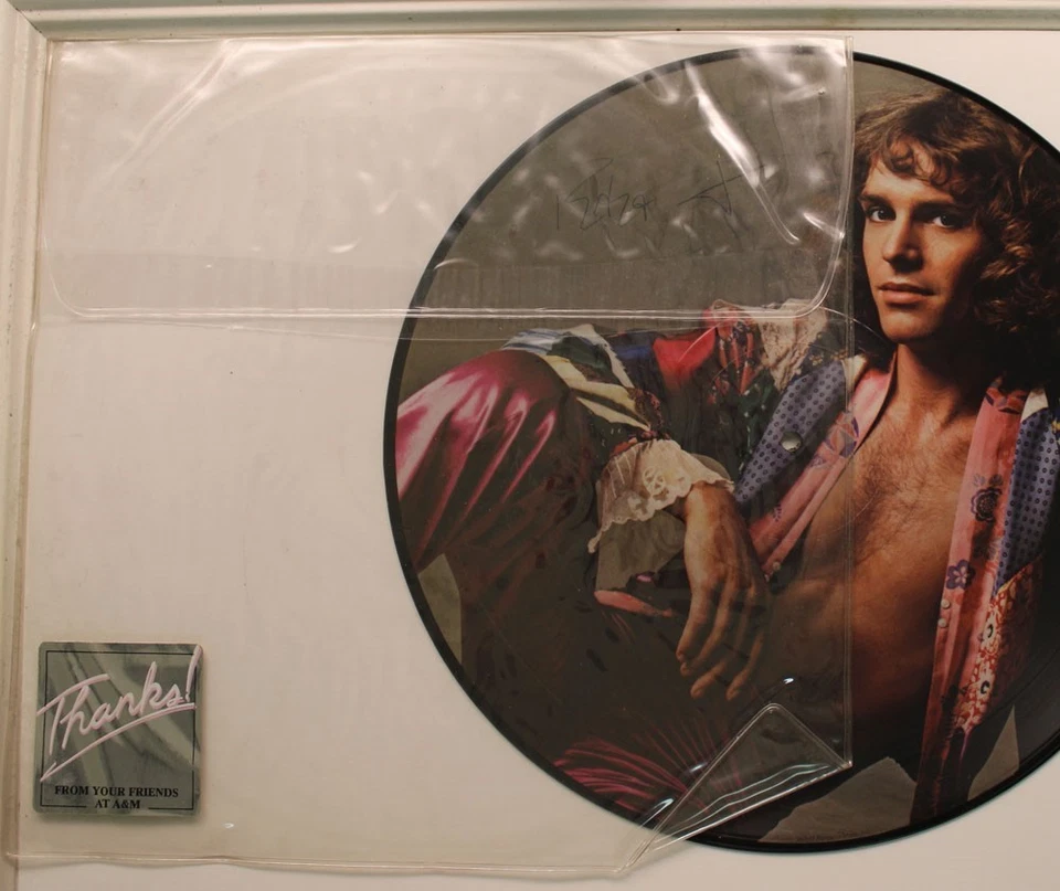 Peter Frampton Picture Disc Promo Lp I'M In You On A&M - Vg+ To VG (Hype Stick - Image 1 of 1