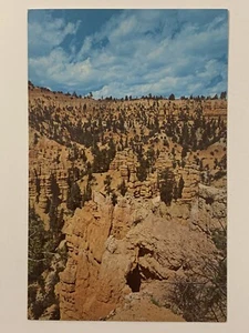 Vtg 50s Trail Below Fairyland Postcard Bryce Canyon National Park Utah Unposted - Picture 1 of 6