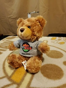 Disney World Theme Park Exclusive Approx 9" ESPN Zone Bear Plush - Picture 1 of 12