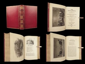 1818 HUNTING 1ed Field Sports Fishing Horse & DOG Fowling Racing FINE BINDING - Picture 1 of 24