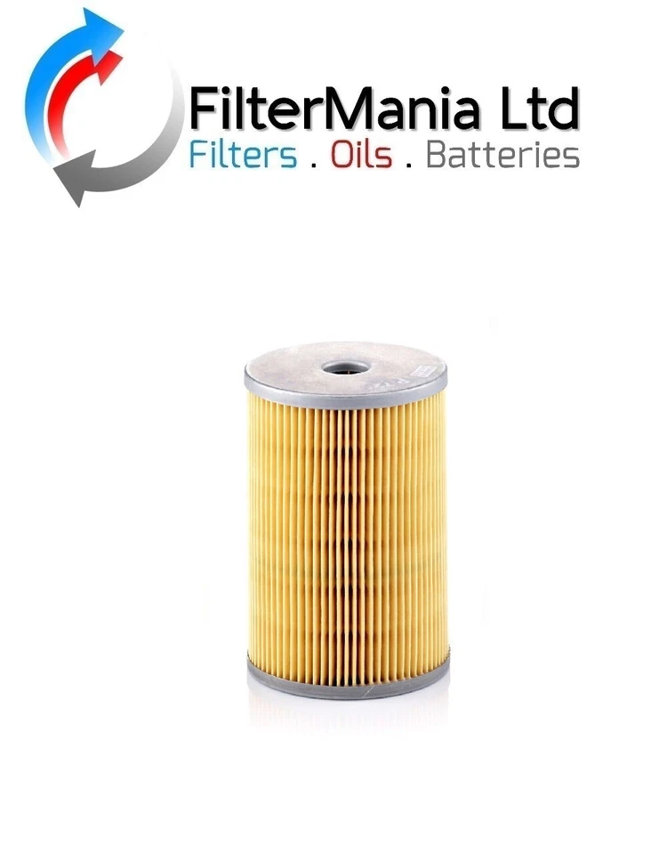 Filtro de combustible MANN P725x (Citroen, Peugeot, Renault) Foto 1 de 1