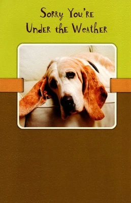 Tarjeta de felicitación Funny Get Well Soon Wishes Basset Hound TLC Under The Weather Foto 1 de 3