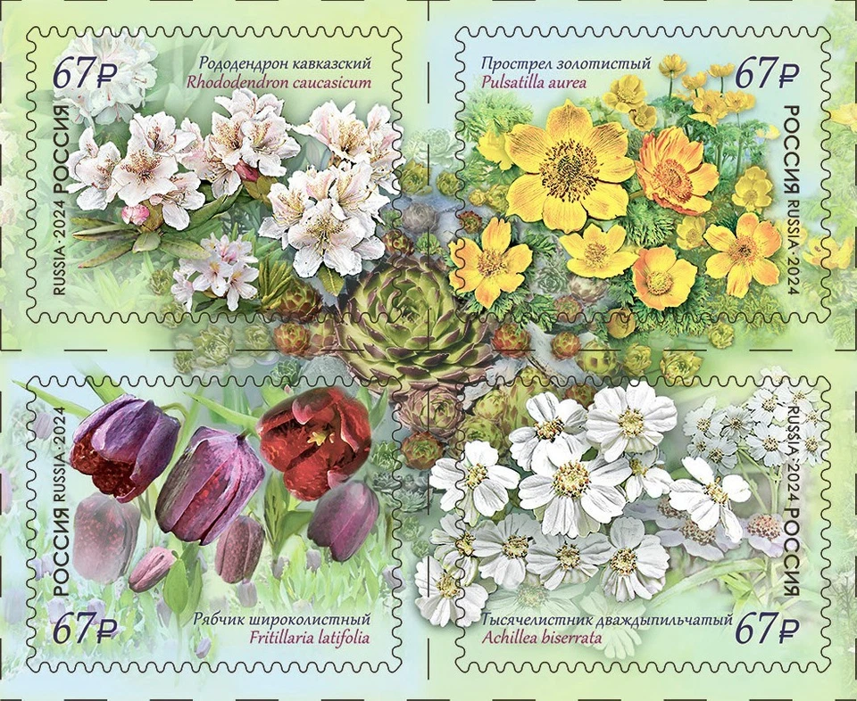 Russia 2024 Flora of Russia. Caucasian State Reserve (MNH OG **) Block - Image 1 of 1