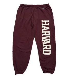 Pantalones deportivos Champion Harvard Big Spell Out con cordón granate para hombre L usados en excelente estado - Imagen 1 de 12