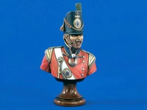 Verlinden 200mm (1/9) Coldstream Guards Officer Bust Waterloo (Napoleonic) 1542 - Picture 1 of 1