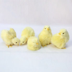 1PC Lifelike Baby Chick Plush Furry Animal Figurine Chicken Garden Home Decor - Picture 1 of 14