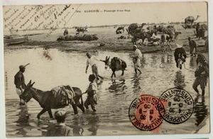 Norte de África francés - Argelia - Escena animada - Postal vintage - Imagen 1 de 2