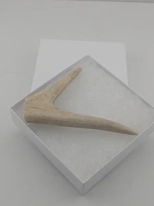 Auténtico prendedor de sombrero/chaqueta de cola blanca Pa hecho a mano ÚNICO EN SU CLASE - Imagen 1 de 3