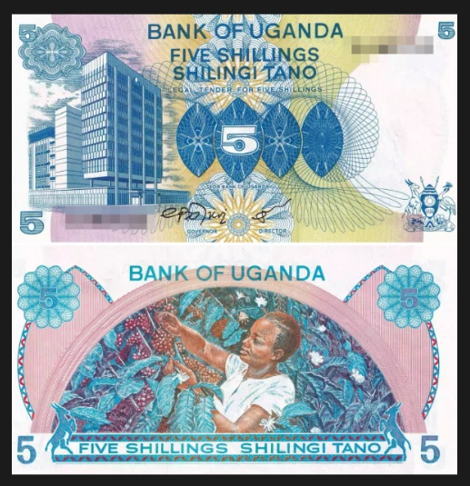 1979 Uganda 5 Shillings Banknotes UNC - Image 1 of 1