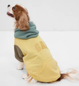 Pull à capuche en tricot doux logo GAP pour animal de compagnie taille moyenne 40-50 lbs vert jaune NEUF - Photo 1/3