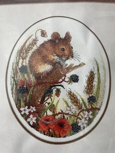 Dormouse Counted Cross Stitch Kit By Anchor Brand New In Original Packaging - Picture 1 of 3
