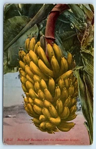 POSTAL Manojo de plátanos de las islas hawaianas - Imagen 1 de 2