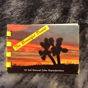 New Mexico Arizona Albuquerque Postcards and Small Souvenir Photo Books 60s - Picture 1 of 12