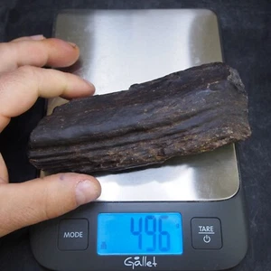 496gr Madera Petrificada Checa Fósil Planta Árbol Carbonífero Superior - Imagen 1 de 11