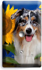 COLLIE DOG IN SUNFLOWERS LIGHT DIMMER CABLE WALL COVER GROOMING PETS SALON DECOR