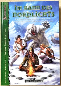 Das Schwarze Auge, DSA, Im Bann des Nordlichts, unbenutzt - Bild 1 von 1