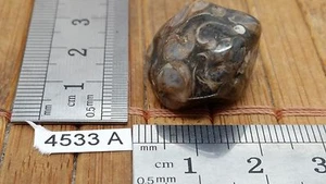 AGATE TURITELLE pierre roulée mineraux lithotherapie collection esoterisme reiki - Picture 1 of 2