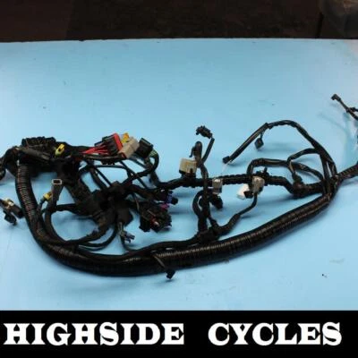 1381 15 HARLEY-DAVIDSON DYNA STREET BOB NO ABS ARNÉS DE CABLE PRINCIPAL TELAR Foto 1 de 4