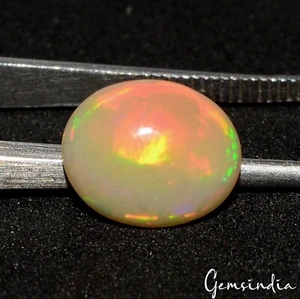 Oval Cab natürlicher AAA feuriger äthiopischer Opal 1,30 ct zertifiziert loser Edelstein - Bild 1 von 8