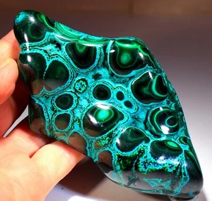 5,5 Zoll auffällig lebendige Chrysocolla mit Malachit, Kongo! CR133 - Bild 1 von 8