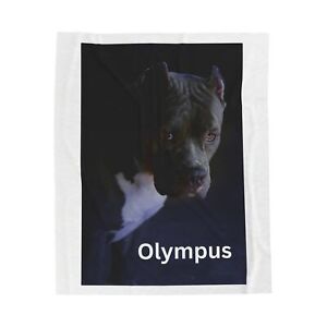 Pitbull Custom Throw Blanket Personalized Dog Photo Gift 30x40 50x60 60x80