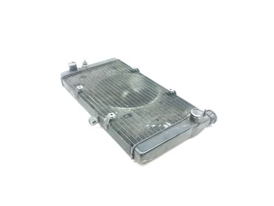 Radiador Honda CBR1100XX Blackbird CBR 1100 97 Foto 1 de 4