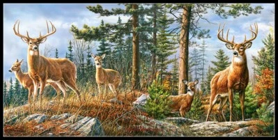 Royal Deer Family - Chart Counted Cross Stitch Patterns Needlework DIY DMC       - Image 1 of 2