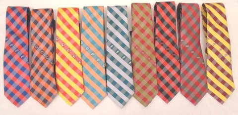 NFL Men's WP Check Neck Tie by Eagle Wings Polyester Cover