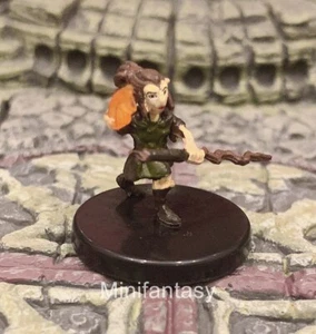 Gnome Wizard D&D Miniature Dungeons Dragons Pathfinder Female Sorcerer Druid 11B - Picture 1 of 1