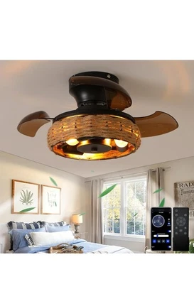 21.6'' Retractable Ceiling Fans with Lights Boho Caged Farmhouse Ceiling Fan - Image 1 of 4