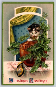 AK Weihnachtsgrüße Kätzchen Vase Kiefer geprägt - Bild 1 von 2