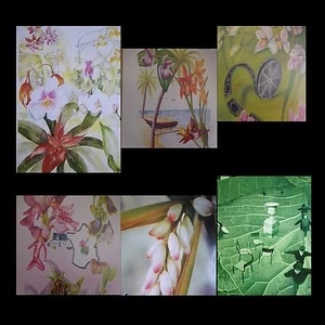 Festival Posters Orchids And Tropical Plants Menton France ARTBOOK By PN - Picture 1 of 12