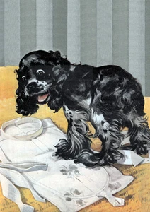 COCKER SPANIEL UND MEISTER SAUBERES SHIRT CHARMANTER COMIC HUND GRUSS NOTIZKARTE - Bild 1 von 1