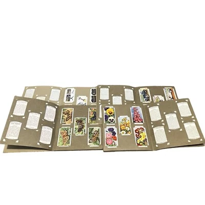 Complete Wills, Cigarette Card Albums Flowers , Speed Butterflies Household - Image 1 of 3