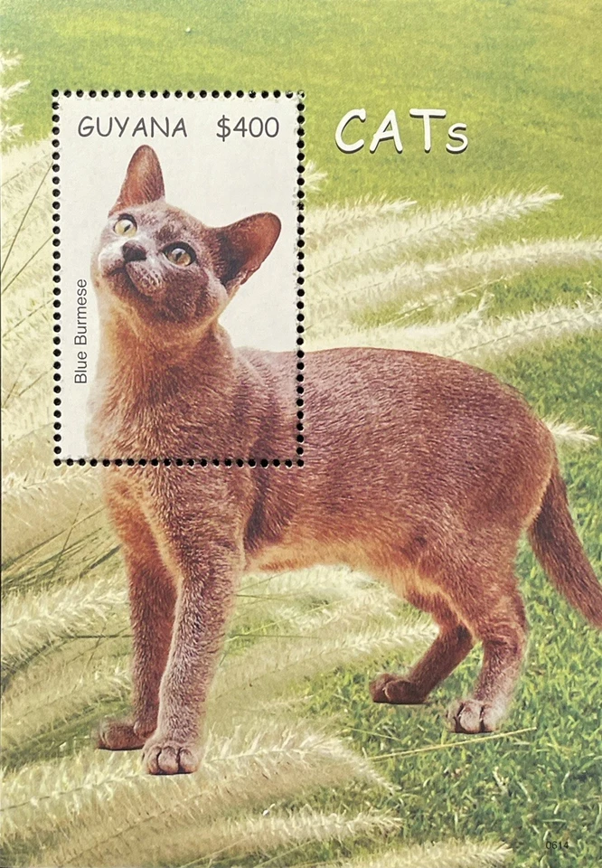 GUYANA CATS STAMPS SOUVENIR SHEET 2001 MNH BLUE BERMESE FELINE PET ANIMALS 1 - Image 1 of 1