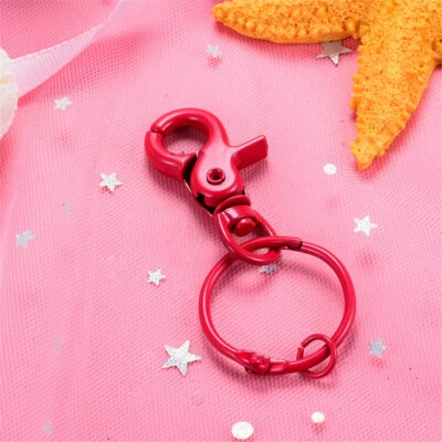 5 pcs Thicken Metal Lobster Clasps Swivel Hooks Clips Keyring Keychain Key Rings - Image 1 of 4