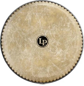 Latin Percussion Fiberskyn Conga Head - 11" - Quinto - Picture 1 of 4