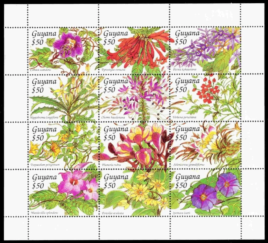 GUYANA 2790 - Flores Tropicales "Hoja de Recuerdo" (pc34232) Foto 1 de 1