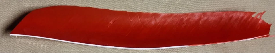 Penas Trueflight - Comprimento total sólido - Contagem de dezenas - Imagem 1 de 1