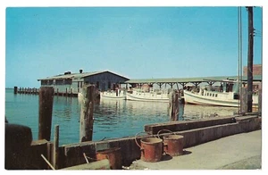 Boats At CRISFIELD HARBOR DOCK Passenger & Mail Maryland MD Postcard - Picture 1 of 2
