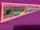 Vintage SOUVENIR Pennant Carter Caves State Park Kentucky OLIVE HILL - SHIP FAST
