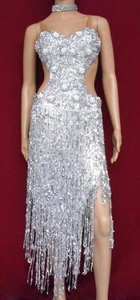 Da NeeNa M028 Salsa Fringe Latin Showgirl Fringe Drag Queen Dance dress XS-XL - Picture 1 of 4