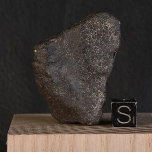 Meteorit Einzelne Hah 346 Von 55,90 G " Ghadamis“ Chondrit L6 Libyen - Picture 1 of 12
