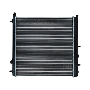 PRASCO Radiatore Acqua Adatto per CITROEN C2 - C3 - PEUGEOT 1007 - 207 - 207+ - Foto 1 di 4