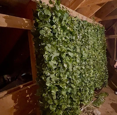 Leaf Garland w/battery Powered Fairy Lights 5ft. (20 Available) - Image 1 of 2