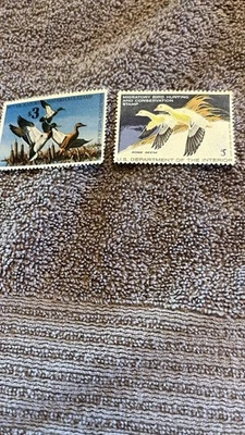 Duck Hunting Stamps Pair Collection Minnesota and Federal  - Image 1 of 4